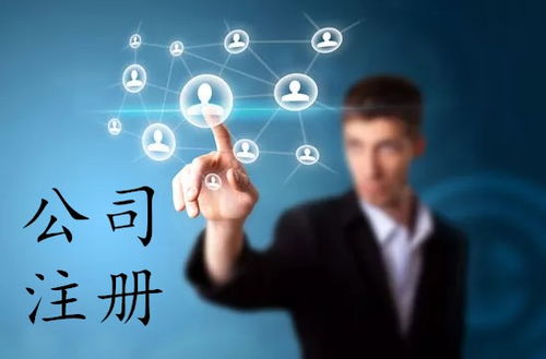 上海軟件公司注冊全攻略 流程、費(fèi)用與網(wǎng)絡(luò)技術(shù)服務(wù)指南