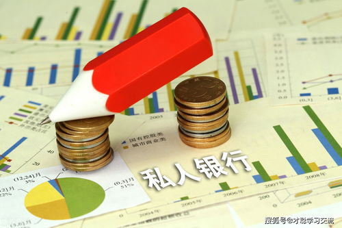 2021年浙江財(cái)經(jīng)大學(xué)431金融學(xué)綜合考研真題解析 利用自有資金創(chuàng)業(yè)投資的財(cái)務(wù)決策分析
