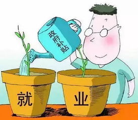龍巖市就業(yè)補(bǔ)助資金政策解讀 六 創(chuàng)業(yè)帶動(dòng)就業(yè)補(bǔ)貼——利用自有資金創(chuàng)業(yè)投資